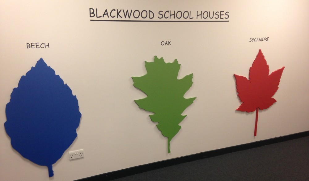Blackwood Primary School
